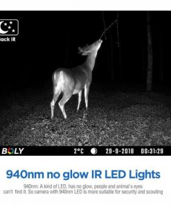 BG636-48M 4G LOVAČKA KAMERA SA GPS LOKATOROM I PIR DETEKCIJOM POKRETA - Slika 3