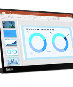 Lenovo ThinkVision M14d 14'' IPS