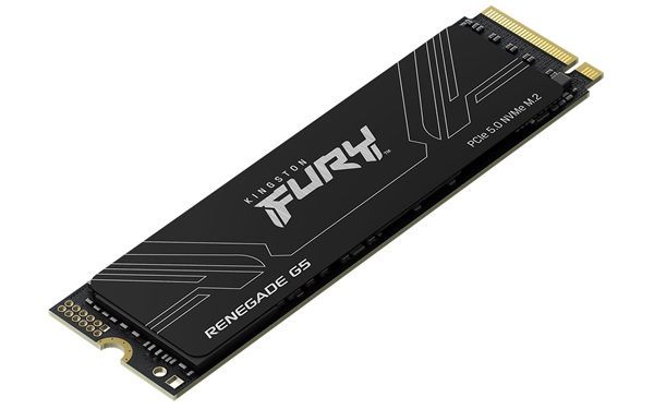 Kingston Renegade G5 NVMe 1TB Kingston Renegade G5 NVMe 1TB