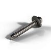 Self Drilling Screw 5
