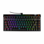 ASUS ROG FALCHION ACE 75 HE