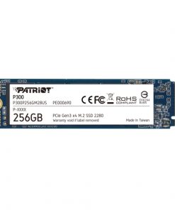 Patriot SSD P300 R1700/W1100