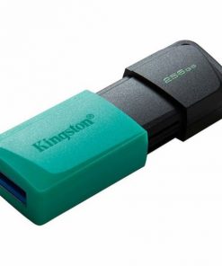 Kingston DT Exodia M