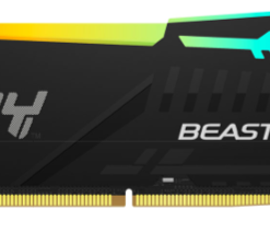 Kingston DDR5 16GB 5600 MHz