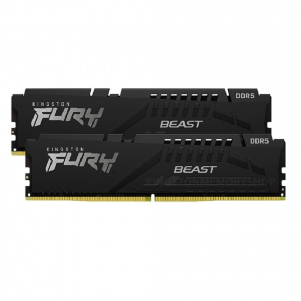 Kingston DDR5 16GB 5600 MHz