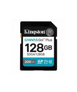 Kingston Canvas Go! Plus SD