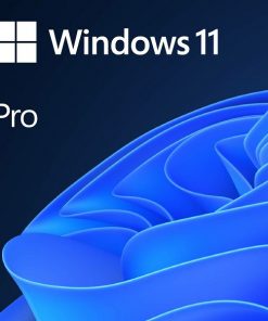 MS Windows 11 Professional 64-bit Cro