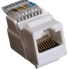 MasterLan keystone UTP Cat.6