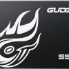 Gudga GS, 256 GB 2,5" SSD, SATA III | 3D NAND