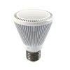EcoVision LED žarulja E27, 8W, 450lm, 3000K, PAR22