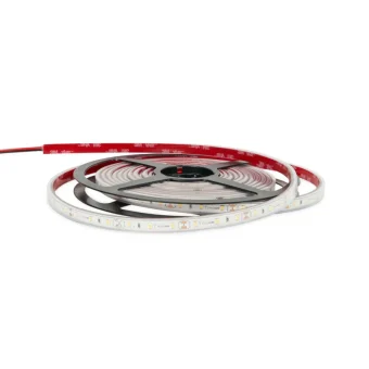 EcoVision LED traka 5m, 2835, 120LED/m, 14.4W/m, 24V DC, 6000K, IP67