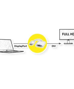 Roline VALUE adapter/kabel DisplayPort - DVI, M/F, 0.15m