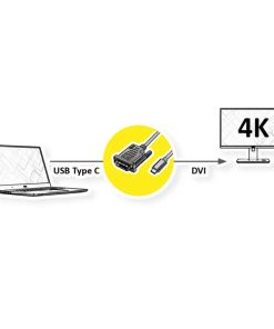 Roline VALUE USB-C - DVI kabel, M/M, 2.0m, crni
