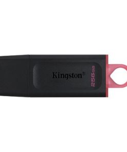 Kingston 256 GB 3.2 Gen 1 USB Flash Drive, DataTraveler Exodia