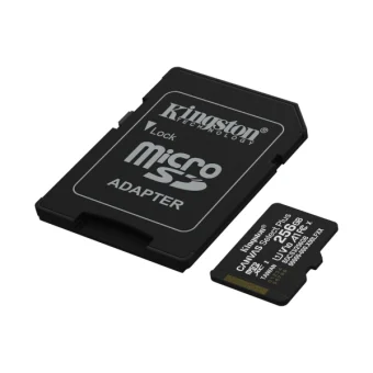 Kingston microSDXC, Select plus, Class10, 256GB