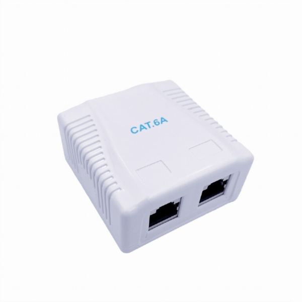 Gembird CAT6A FTP 2-port surface mount box