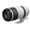 Canon RF 100-500 mm L IS USM