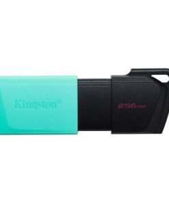 Kingston 256 GB 3.2 Gen 1 USB Flash Drive, DataTraveler Exodia M